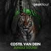 Jungle Sound - Costel Van Dein