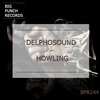 Howling - DelphoSound