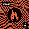 Burning - Delistic