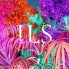 Ils - Ils