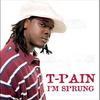 I'm Sprung (German Remix) - T-Pain&Kool Savas
