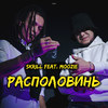 Располовинь (Explicit) - Skrill&Moozie