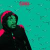 Tricks (Explicit) - Lk Louie&Cise Shotta&Nukaa