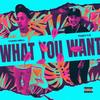 What you want(feat. Thirty2) (Explicit) - Yung Nell&Thirty2
