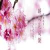 松雨 (加长版) - 罗启瑞
