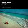 Conch (Groove Junkies Deep Sanctuary Rework) - Spiritchaser