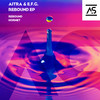 Hornet (Original Mix) - Aitra&E.F.G.