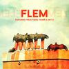 Mali - Flem&Vieux Farka Toure&Amy D