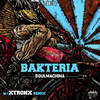 Soulmachina (Original Mix) - Bakteria