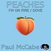 Dove (Original Mix) - Paul McCabe