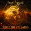 What Is That You Waiting - Tokah&Fabio Mello&Rewind