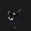 Cuttlefish Want Fly (Original Mix) - Artur Nikolaev