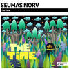 The Time (Original Mix) - Seumas Norv