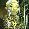 Mpenzi Kwaheri - Jay Moe&tid