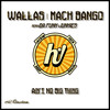 Ain't No Big Thing (Da Funk Junkies Radio Edit) - Wallas&Mack Bango&Da Funk Junkies
