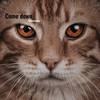 Come Down (Explicit) - Masuda