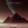 Electric riddle - MyceliumBug&eugenio izzi