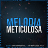 MELODIA METICULOSA - Dj Vtr Original&DJ Rhenan NTJ