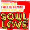 Free Like The Wind (Original Mix) - Conan Liquid