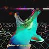 Validation(Kensho) (Explicit) - Brevner