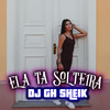 Ela Ta Solteira (Explicit) - DJ GH Sheik&Mc Vivian