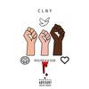 Revolution in My Blood (Explicit) - CLNY