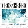 Smells Like Drill Spirit - Crossbreed