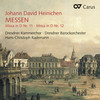 IIIc. Et resurrexit - Andreas Scheibner&Egbert Junghanns&Dresdner Barockorchester&Hans-Christoph Rademann