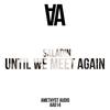 Until We Meet Again (Original Mix) - Saladin