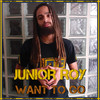 Want To Dub - Junior Roy