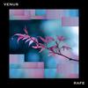 venus - Rafe