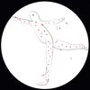 Flying Night (Mind Safari Remix) - Roundhouse Kick&Mind Safari