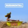 These Days (feat. Jess Glynne, Macklemore & Dan Caplen) - Rudimental&Jess Glynne&Macklemore&Dan Caplen