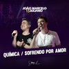 Química / Sofrendo por Amor (Ao Vivo) - João Marcelo & Juliano