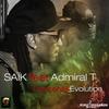 Dancehall évolution - Saik&Admiral T
