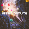 Time To Let Go (Flowki Remix) - Alter Nature