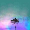 Back to Earth - Comma Sounds