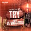 Try - VERSÃO PISEIRO - Brazilian Remix Tv