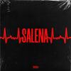 SALENA (Explicit) - QXEENO