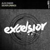 Silver Linings(Extended Mix) (Extended Mix) - Alex Ender