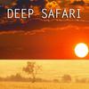 Deep Safari - Billy Paul