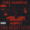 Terminator(feat. Flawda & Get Down) (Explicit) - King Sandman&Get Down&Flawda