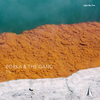 Try - Borka & The Gang