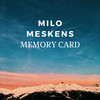 Memory Card - Milo Meskens