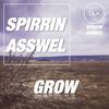 Shake 2 Shake (Original Mix) - Spirrin&Asswel