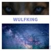 1:41 (Explicit) - Wulfking&Tyrell Romain