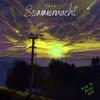 Sommernacht (feat. Encue) (Piano Version) - va1e&Encue