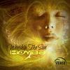 Worship The Sun (Radio Edit) - Hoyaa