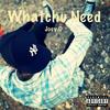 watchu need (Explicit) - Joey O