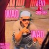 Waoo Waoo (feat. Malcom produce) - Jevi el sofoke&Malcom produce